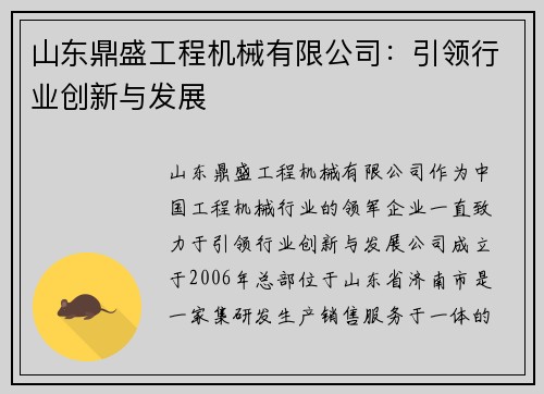 山东鼎盛工程机械有限公司：引领行业创新与发展